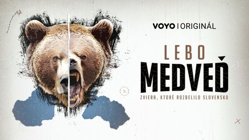 medved-2025