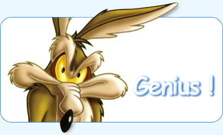 the-road-runner-show-wile-e-coyote-genius-n-bugs-bunny