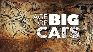 age-of-big-cats