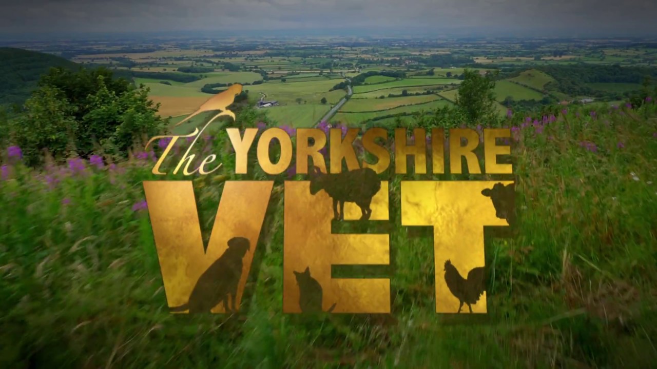 the-yorkshire-vet