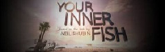 your-inner-fish